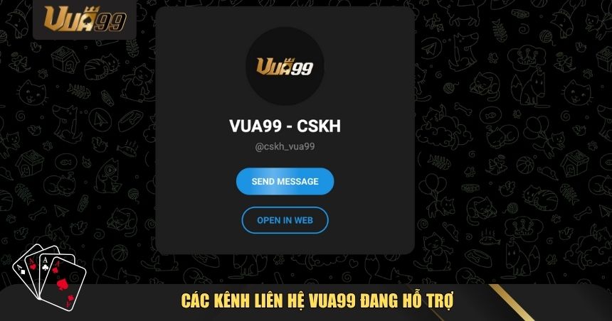 Các kênh liên hệ VUA99 đang hỗ trợ