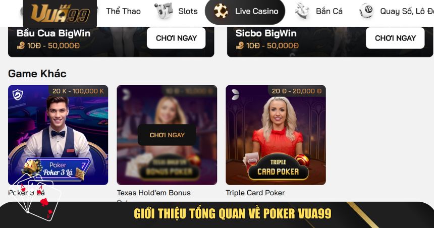 Giới thiệu tổng quan về Poker VUA99