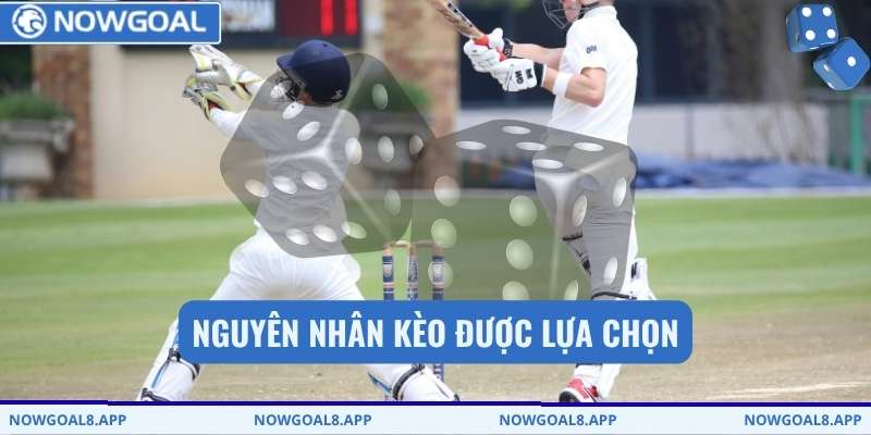 Nguyên nhân kèo được lựa chọn